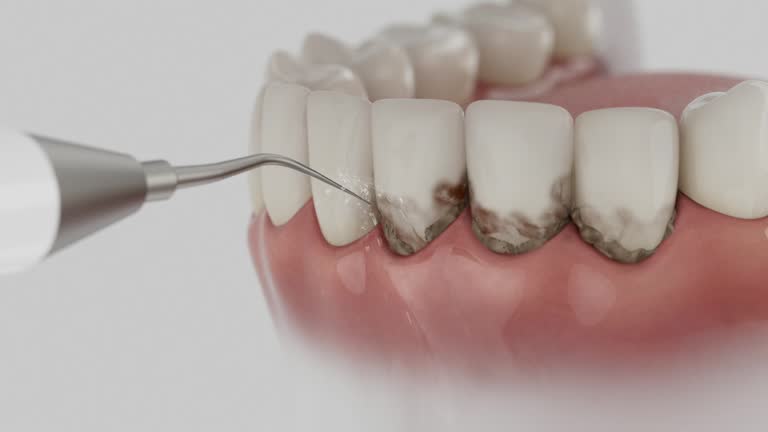 Reliable Dental contractor in Farmville, VA by Dentist Open Now